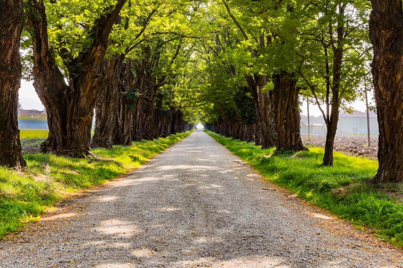 Agriturismo Le Corti Della Gualdana Вогера Экстерьер фото
